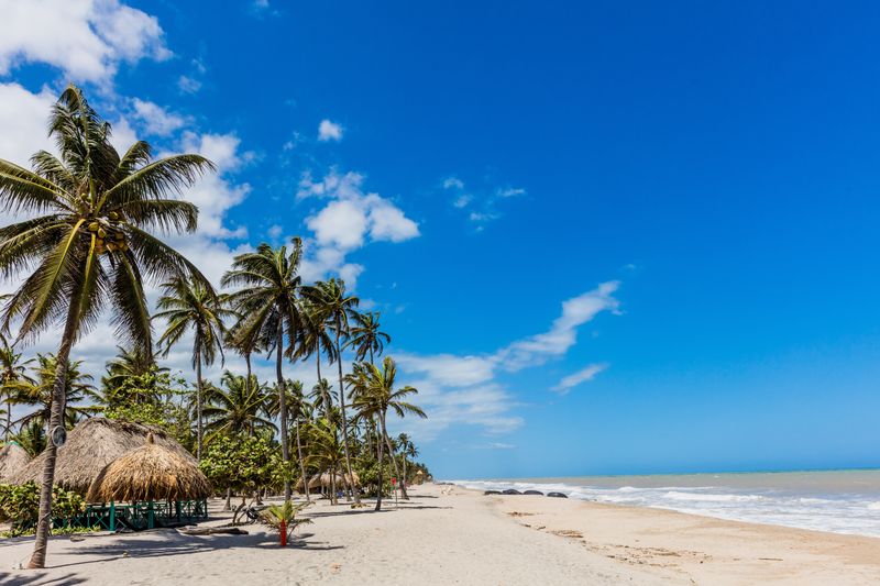 Palomino, Guajira